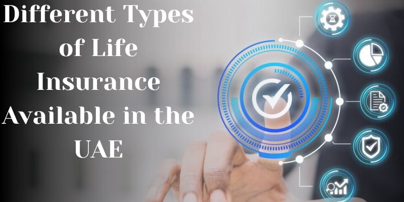 Different Types of Life Insurance Available in the UAE